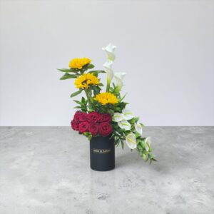 Midnight Bloom
